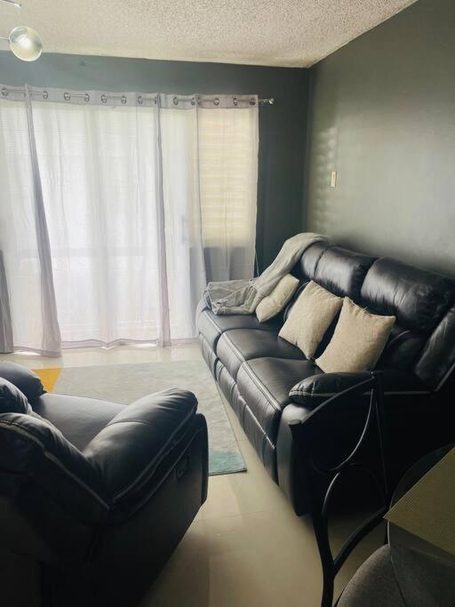 Appartamento New Kingston Retreat Esterno foto